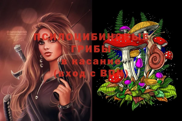 дмт Белоозёрский