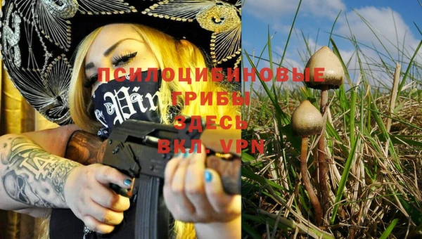 дмт Белоозёрский