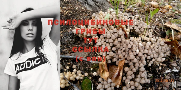 первитин Семикаракорск