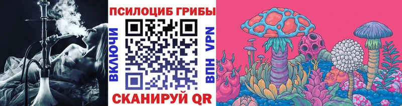 OMG зеркало  Волжск  Галлюциногенные грибы MAGIC MUSHROOMS 