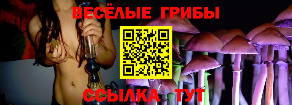 Псилоцибиновые грибы Psilocybine cubensis Волжск